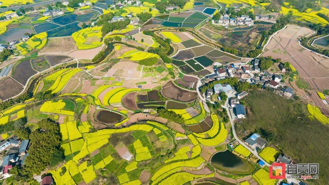 自贡公布首批红色资源名录，快来看哪些地方上榜！(图11)