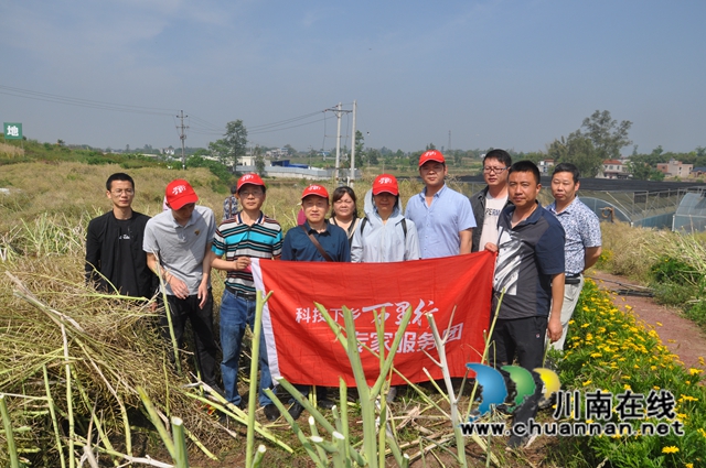 助力乡村振兴：省科技下乡万里行专家组到泸县开展技术指导 (3).JPG
