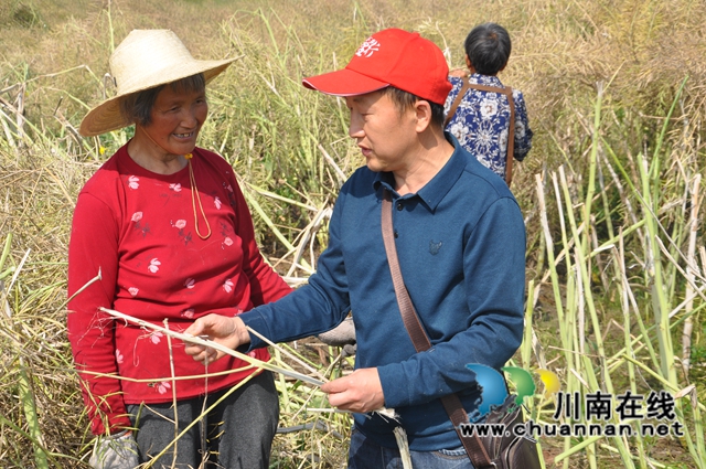 助力乡村振兴：省科技下乡万里行专家组到泸县开展技术指导 (2).JPG