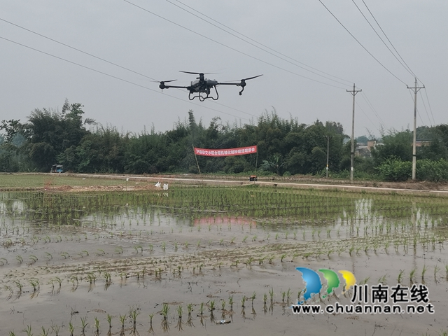 无人机施药展示（曾佐然摄）.jpg