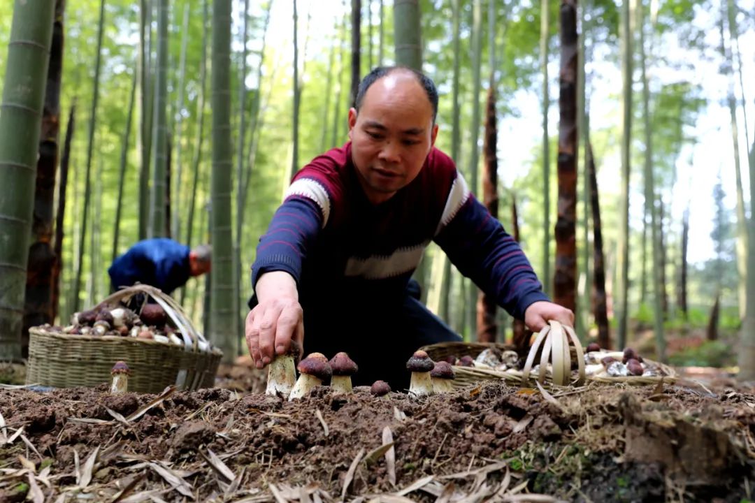 纳溪新增一条网红旅游公路,简直不要太美!(图12) 12.jpg