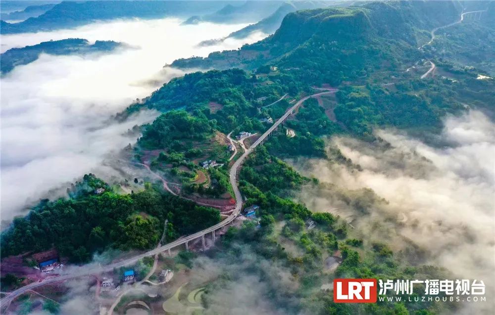 从泸州城区到大旺竹海仅需半小时了!(图5) 4.jpg