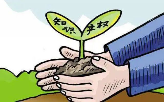 泸州老窖等三户企业获批全省首批知识产权强企(图5) nEO_IMG_5.jpg