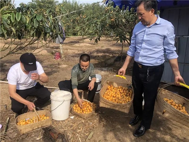 被隆昌人破防！卖枇杷的小男孩——