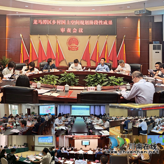 泸州市开展第一批次乡村国土空间规划阶段性成果审查(图1) 审1.jpg