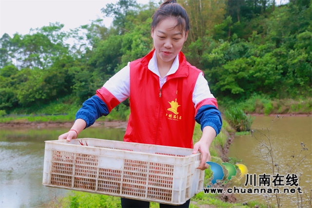 志愿者运输小龙虾，鲜活的龙虾装满箩筐.jpg