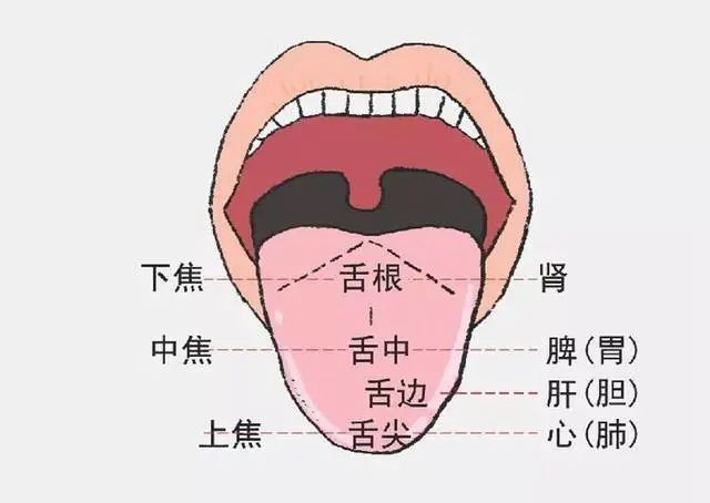 中医特色舌针“暗藏玄机”，快来了解下！