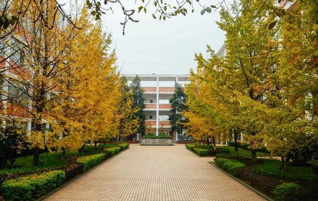 泸县二中今年恢复初中办学,拟招初一新生80名(图1) 二中.jpg