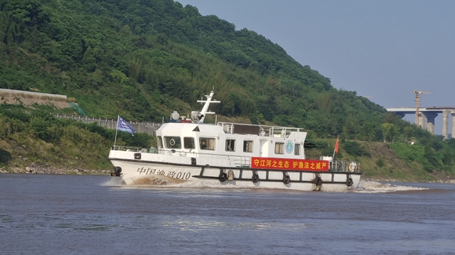 泸州宜宾深入开展禁捕联合执法工作(图2) 执2.jpg