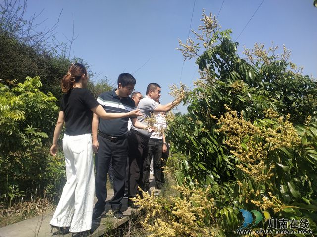 省农业农村厅调研泸县云龙镇农产品质量安全工作(图2) QQ图片20220513182201.jpg