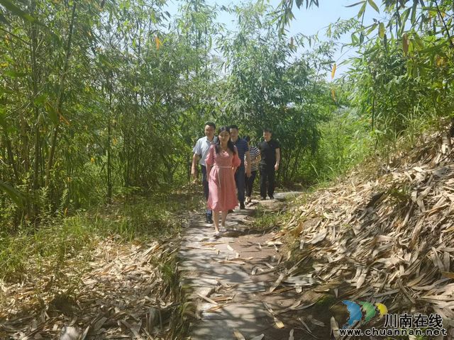 泸县副县长甘露到云龙镇督导森林防灭火、信访维稳工作(图1) 79705fd39d4fb820a0436051f26ee8e.jpg