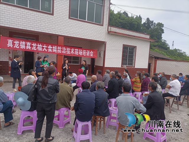 合江县真龙镇:乡贤当起”土专家“,传授技术共致富(图1) 真龙1.jpg