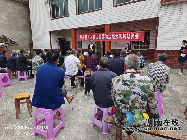 合江县真龙镇:乡贤当起”土专家“,传授技术共致富(图2) 真龙2.jpg