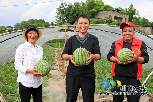 据了解，云龙镇近年来持续推动早熟西瓜错峰抢“鲜”上市，以特色种植为抓手，依托合作社、种植大户大力发展西瓜种植，组织农技人员入村，为群众提供温棚技术指导，带动农户年均增收5000元以上，用“致富瓜”鼓起农户的“腰包”。.jpg