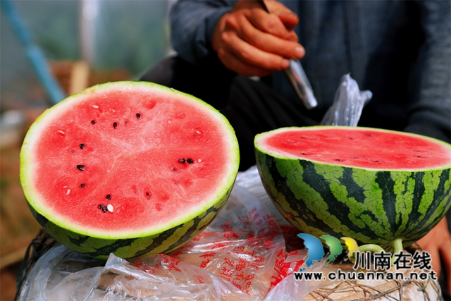 伴着“咔”的一声清脆