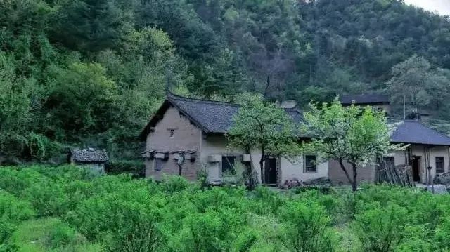 神秘“鸡贩子”被叙永公安抓获！