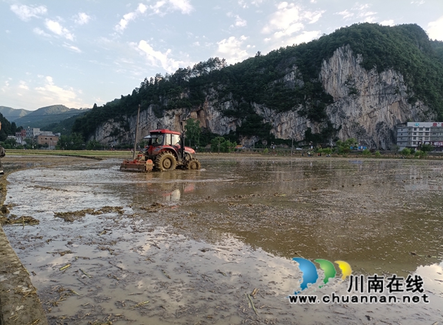 古蔺县双沙镇:油菜丰收忙插秧,农旅融合促振兴(图4) a310ac338fd95704af6f777e0926a82.jpg