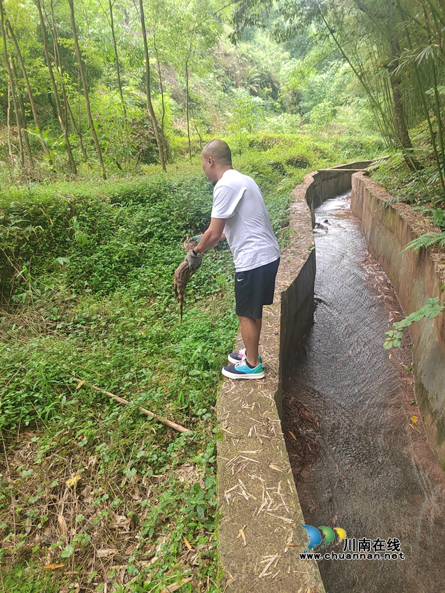 向林镇放生野生动物 (3).jpg