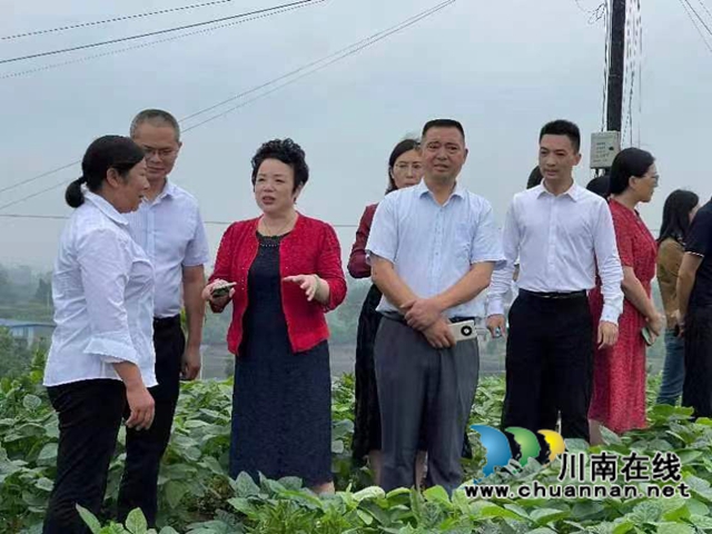 民革泸州市委赴泸县调研“有事来协商”工作(图1) 民革泸州市委赴泸县调研有事来协商工作2.jpg