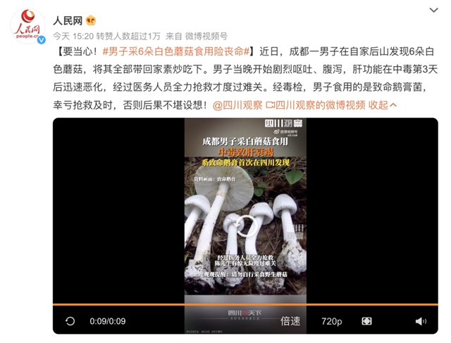 【四川首“发”】“毒王”蘑菇！一男子又遭了
