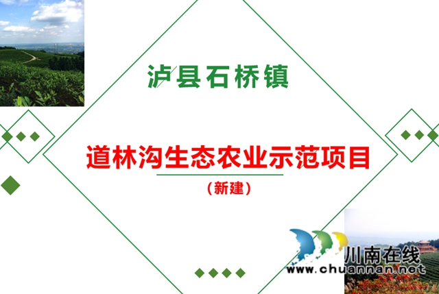 2021年入库参加全省现场推介项目.jpg