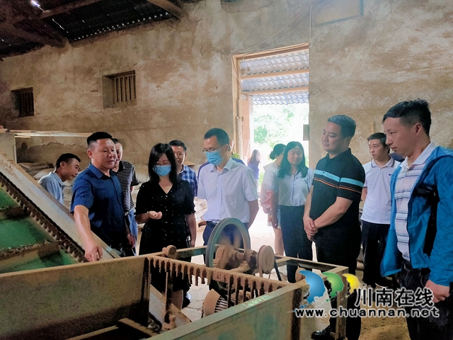 四川省农村能源发展中心主任向淼带队赴叙永县向林镇实地考察秸秆全产业链高值化利用试点选址工作 (1).jpg