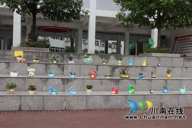 叙永镇中心校创意盆栽展评活动 (1).JPG