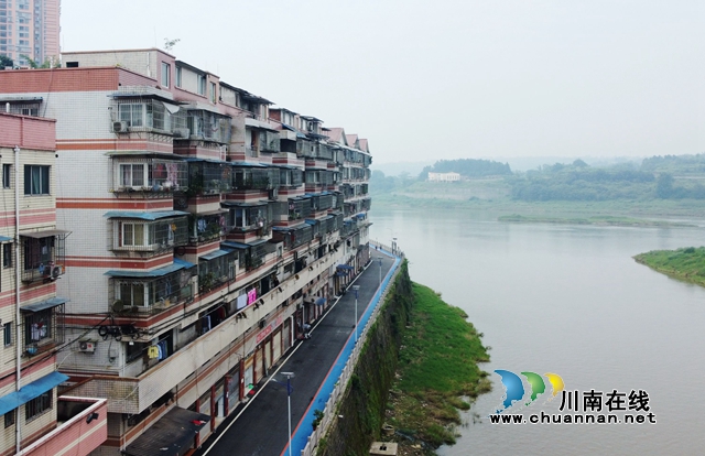 胡市镇防洪堤 (2).JPG