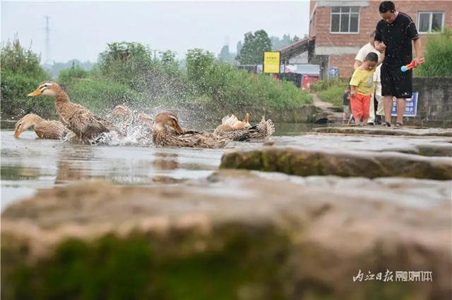 错过等一年!内江城边这个瀑布迎来最佳观赏期(图6) 6.jpg