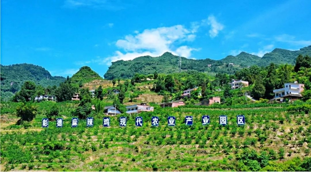 古蔺:烟田里“种”出幸福来(图8) 8.jpg