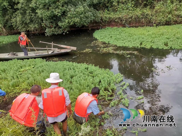 泸县立石镇:川渝共治,龙溪河换了“新装”(图1) 图片1.jpg