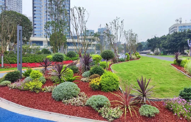 面积约11000㎡!宜宾又有新公园啦!跑道、球场、草坪都有!位置……(图6) 6.jpg