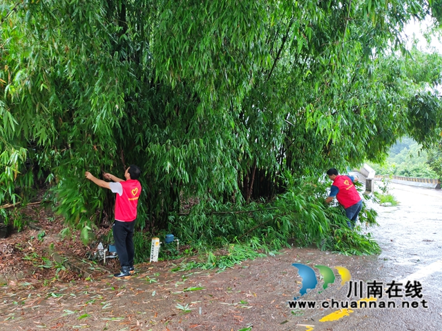 龙马潭区鱼塘街道王庄村：雨后及时排险，守护村民安全