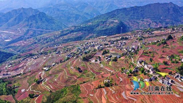 德耀镇凤凰村梯田.jpg