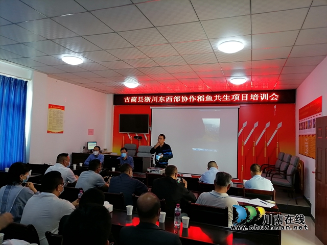 青田稻鱼专家在德耀凤凰村培训图片.jpg