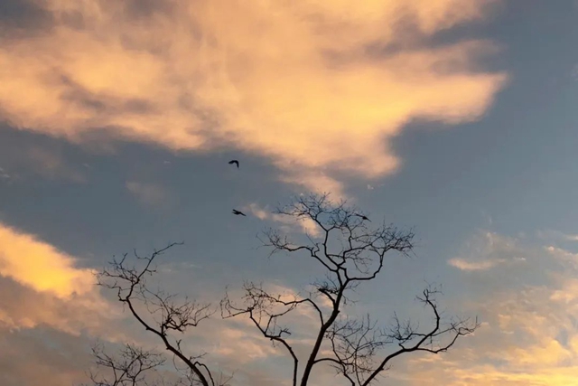 好景分享|古蔺:晚霞+“七彩祥云”(图17) 17.jpg