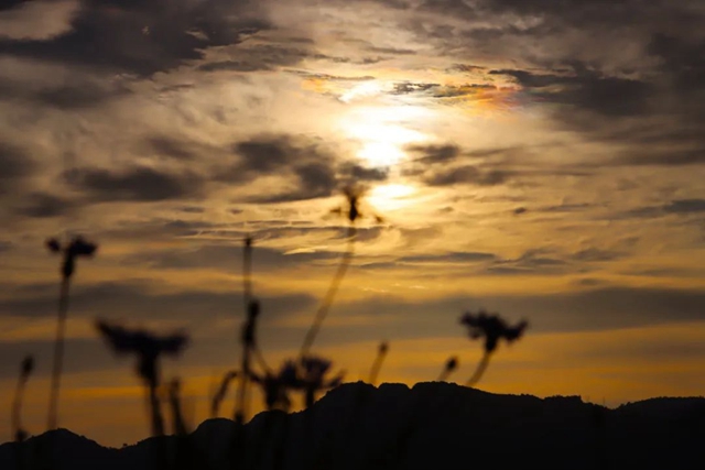 好景分享|古蔺:晚霞+“七彩祥云”(图24) 24.jpg