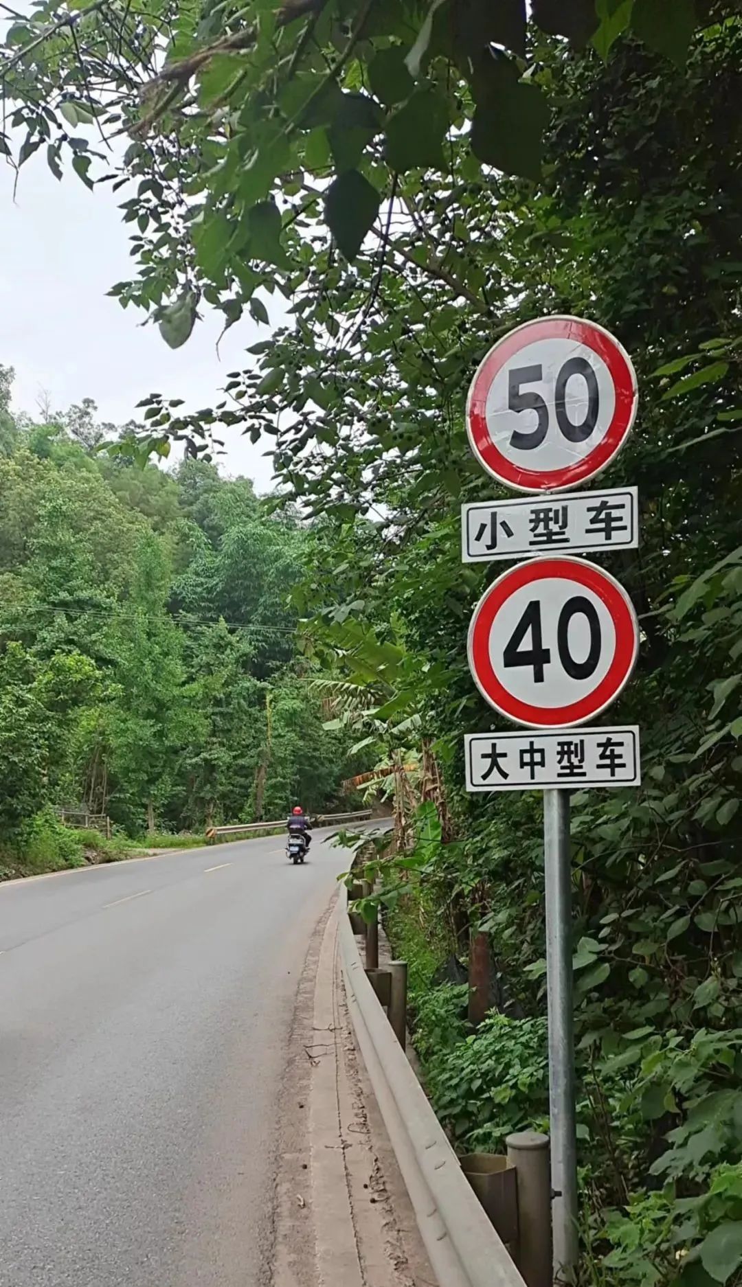 公告7月7日起g246国道纳江路部分路段限速有调整