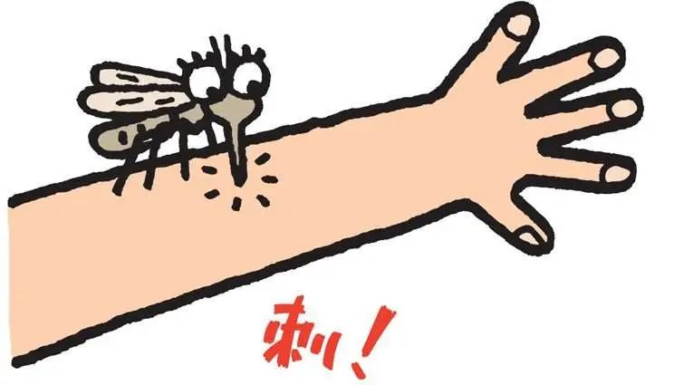 【注意】蚊子最爱这个时间出来咬人?(图4) 2.jpg
