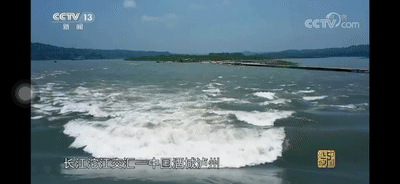 央视1.gif
