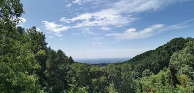 自贡最凉快的地方,你知道是哪里吗?(图4) 4.jpg