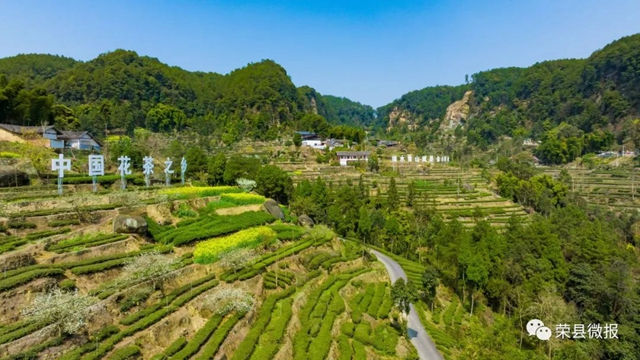 自贡最凉快的地方,你知道是哪里吗?(图13) 15.jpg