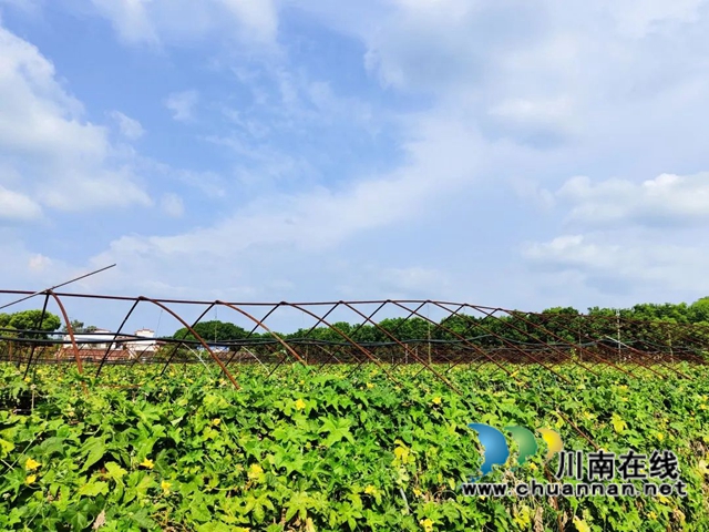 泸县得胜镇:“乡贤+”助推乡村振兴(图2) 微信图片_20220628161932.jpg