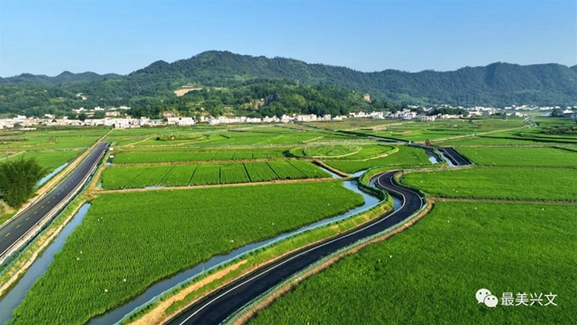 绿了一大片!宜宾这个地方田园风光太美了!约起来~(图3) 3.jpg