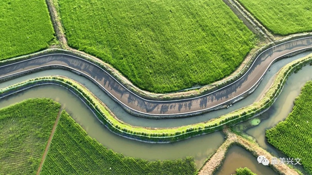 绿了一大片!宜宾这个地方田园风光太美了!约起来~(图4) 4.jpg