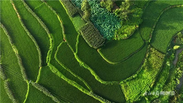 内江发现一片堪比云南元阳的梯田,美翻了!(图2) 2.jpg