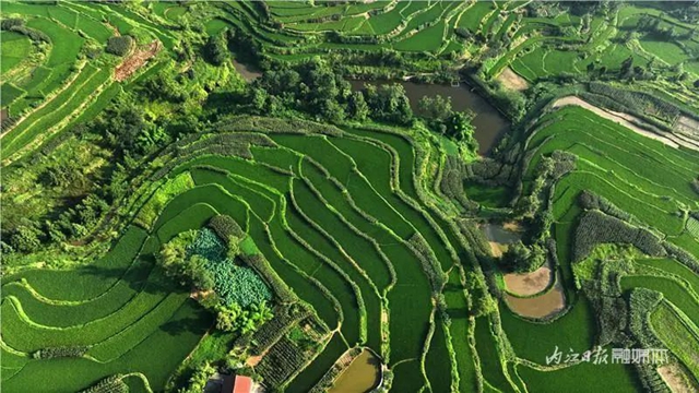 内江发现一片堪比云南元阳的梯田,美翻了!(图3) 3.jpg