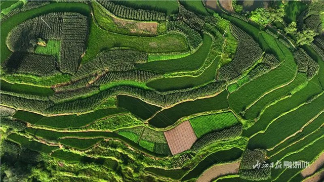 内江发现一片堪比云南元阳的梯田,美翻了!(图4) 4.jpg