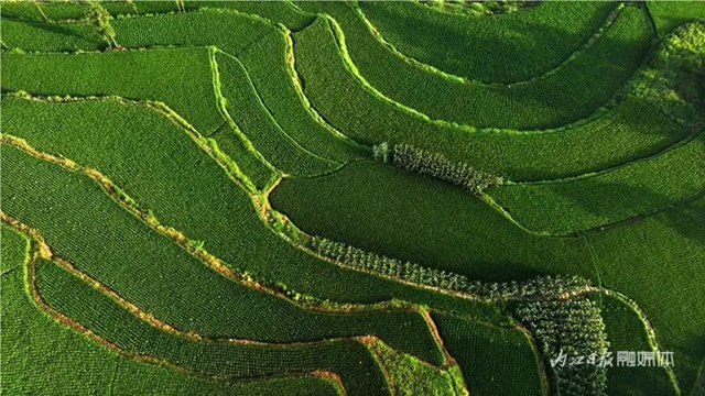 内江发现一片堪比云南元阳的梯田,美翻了!(图1) 1.jpg