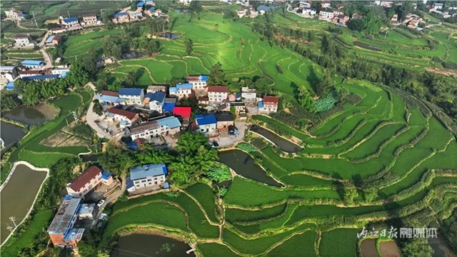 内江发现一片堪比云南元阳的梯田,美翻了!(图5) 5.jpg